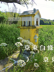 京東白條還款后多久可以再提現(xiàn)-京東白條還款后多久可以再提現(xiàn)出來