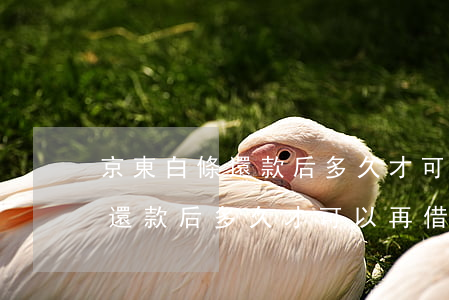 京東白條還款后多久才可以再借-京東白條還款后多久才可以再借出來