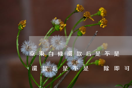 京東白條還款后是不是刪除即可-京東白條還款后是不是刪除即可還款
