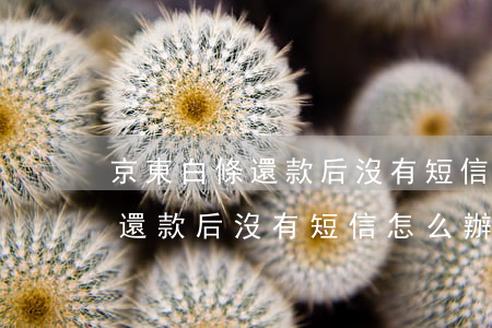 京東白條還款后沒有短信怎么辦-京東白條還款后沒有短信怎么辦呢