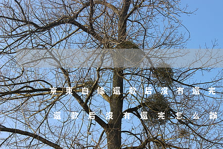 京東白條還款后沒有還完怎么辦-京東白條還款后沒有還完怎么辦呢