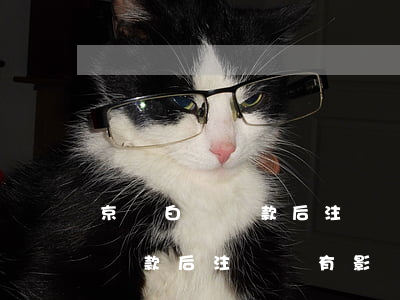 京東白條還款后注銷會有影響嗎-京東白條還款后注銷會有影響嗎安全嗎