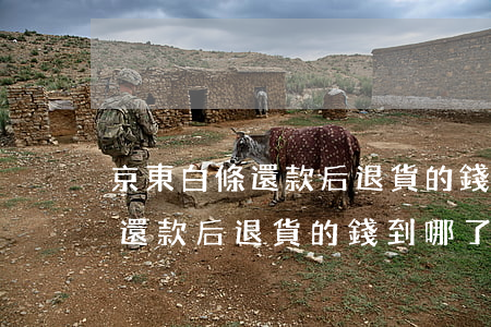 京東白條還款后退貨的錢到哪了-京東白條還款后退貨的錢到哪了呢