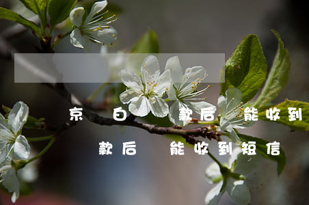 京東白條還款后還能收到短信嗎-京東白條還款后還能收到短信嗎是真的嗎