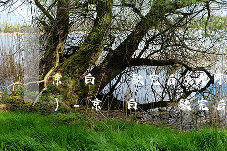 京東白條還款完后多久可以提現(xiàn)-京東白條還款完后多久可以提現(xiàn)出來