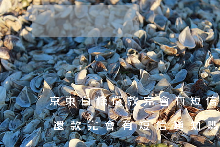 京東白條還款完會有短信通知嗎-京東白條還款完會有短信通知嗎安全嗎