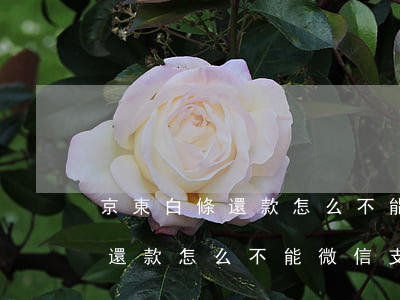 京東白條還款怎么不能微信支付-京東白條還款怎么不能微信支付了
