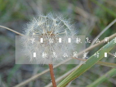 京東白條還款怎么用支付寶支付-京東白條還款怎么用支付寶支付的