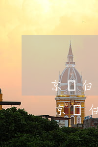 京東白條還款怎么還要詳細(xì)地址-京東白條還款怎么還要詳細(xì)地址呢
