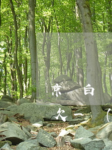 京東白條還款拖欠一天會怎么樣(京東白條拖欠一個(gè)月未還需要全額還款嗎)