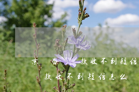京東白條還款收不到短信怎么辦-京東白條還款收不到短信怎么辦呢