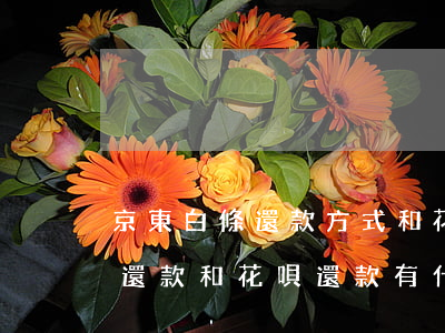 京東白條還款方式和花唄一樣嗎-京東白條還款和花唄還款有什么區(qū)別