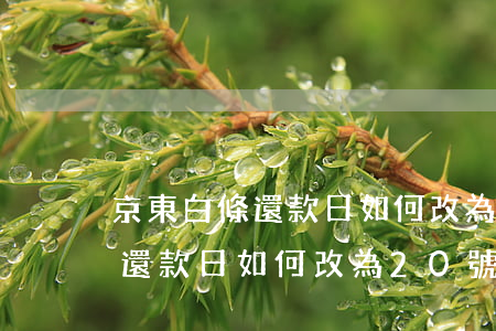 京東白條還款日如何改為20號-京東白條還款日如何改為20號還款