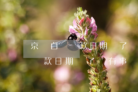 京東白條還款日期過了沒有事嗎-京東白條還款日期過了沒有事嗎怎么辦