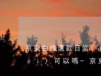 京東白條還款日當(dāng)天消費(fèi)可以嗎-京東白條還款日當(dāng)天消費(fèi)可以嗎怎么還
