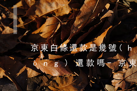 京東白條還款是幾號(hào)是自動(dòng)還款嗎-京東白條還款是幾號(hào)是自動(dòng)還款嗎怎么設(shè)置