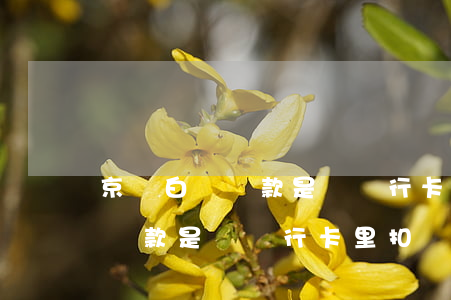 京東白條還款是從銀行卡里扣嗎-京東白條還款是從銀行卡里扣嗎安全嗎