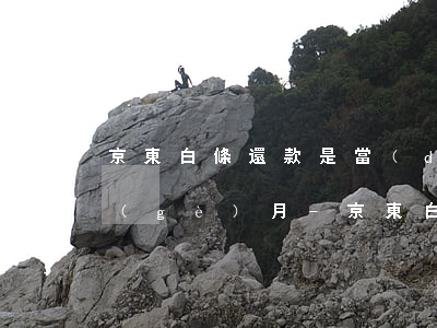 京東白條還款是當(dāng)月還是下個(gè)月-京東白條還款是當(dāng)月還是下個(gè)月還款