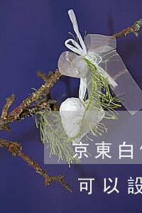 京東白條還款時間可以自己定嗎-京東白條可以設(shè)定還款日期嗎