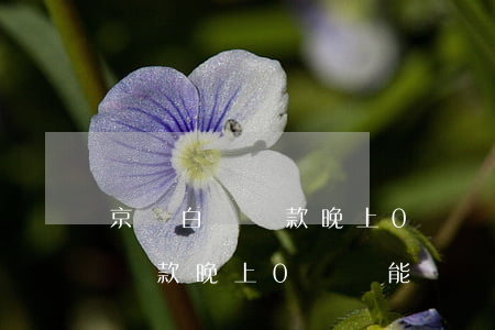 京東白條還款晚上0點還能還嗎-京東白條還款晚上0點還能還嗎