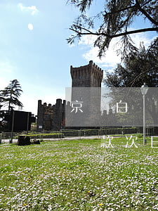 京東白條還款次日到賬了怎么辦-京東白條還款次日到賬了怎么辦啊