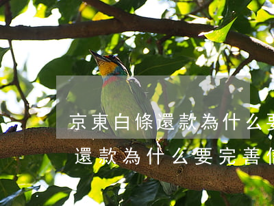 京東白條還款為什么要完善信息-京東白條還款為什么要完善信息呢