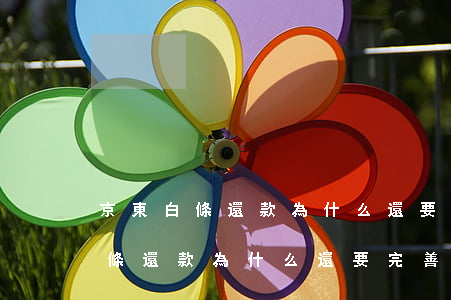京東白條還款為什么還要完善信息-京東白條還款為什么還要完善信息呢