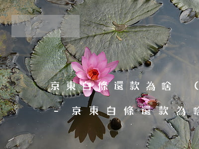 京東白條還款為啥沒(méi)有朋友代付-京東白條還款為啥沒(méi)有朋友代付功能