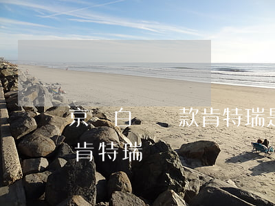 京東白條還款肯特瑞是什么意思-京東白條 肯特瑞