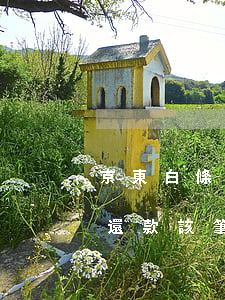 京東白條還款該筆交易存在異常-京東白條還款該筆交易存在異常,暫時無法完成