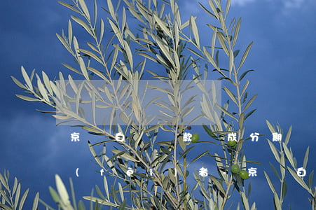 京東白條還款變成分期誤導(dǎo)消費(fèi)者-京東白條還款變成分期誤導(dǎo)消費(fèi)者怎么辦