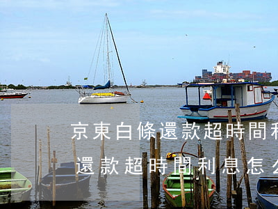 京東白條還款超時間利息怎么算-京東白條還款超時間利息怎么算的