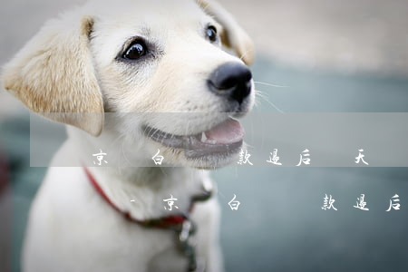 京東白條還款退后兩天會(huì)上征信嗎-京東白條還款退后兩天會(huì)上征信嗎