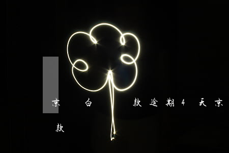 京東白條還款逾期4天(京東白條遲了三天還款)