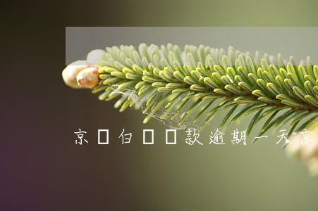 京東白條還款逾期一天(京東白條逾期怎么還?)