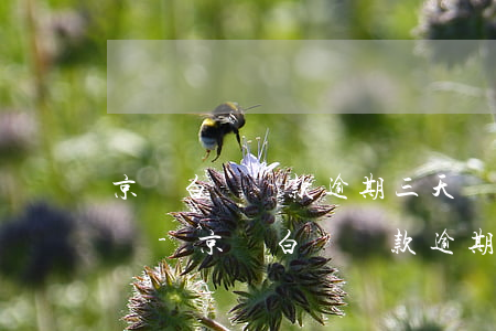 京東白條還款逾期三天會(huì)上征信嗎-京東白條還款逾期三天會(huì)上征信嗎知乎