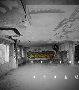 京東白條還款逾期可以協(xié)商么(京東白條逾期要還全款可以協(xié)商分期嘛)