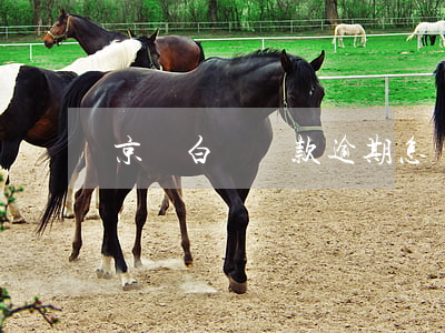 京東白條還款逾期怎辦(京東白條還款逾期怎辦)