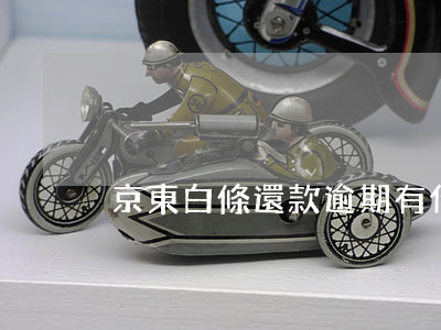 京東白條還款逾期有什么后果