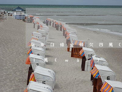 京東白條金條欠四萬(wàn)(京東白條欠1萬(wàn))