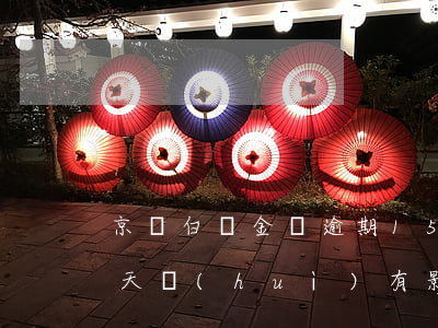 京東白條金條逾期150天(京東白條逾期1天會(huì)有影響嗎?京東金條逾期攻略!)