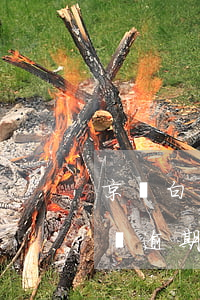 京東白條金條逾期三天怎么辦-京東白條金條逾期三天怎么辦