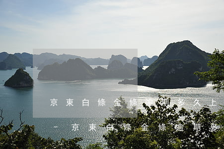 京東白條金條逾期多久上報(bào)一次-京東白條金條逾期多久上報(bào)一次征信