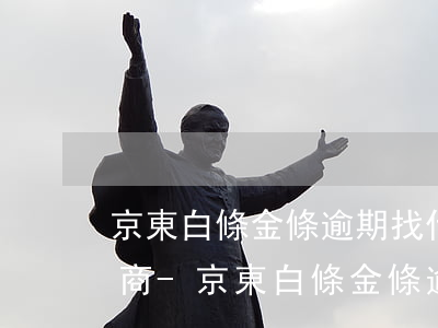 京東白條金條逾期找什么人去協(xié)商-京東白條金條逾期找什么人去協(xié)商還款