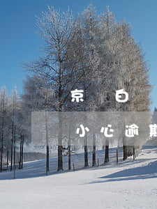 京東白條金條逾期收到京東郵件(京東白條不小心逾期了)