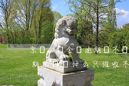 京東白條金條逾期會不會起訴-白條金條逾期京東為什么只催收不起訴