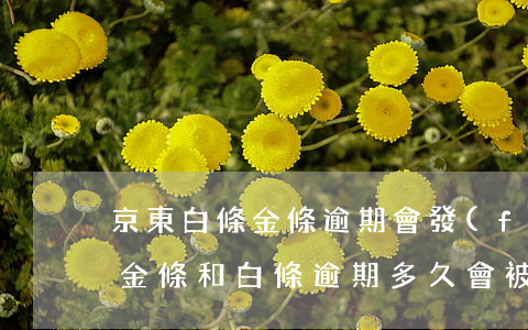 京東白條金條逾期會發(fā)快遞嗎(京東金條和白條逾期多久會被起訴還不上怎么辦)