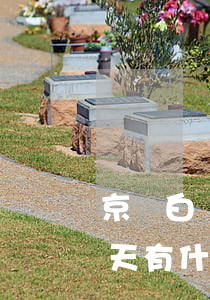 京東白條金融逾期20天 京東白條逾期20天有什么后果