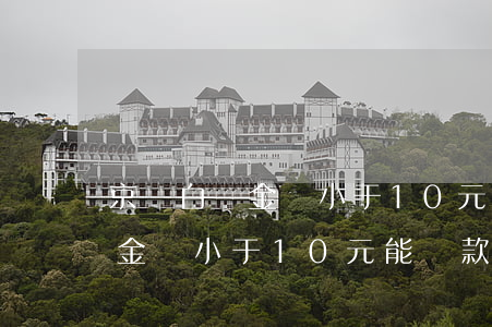 京東白條金額小于10元能還款-京東白條金額小于10元能還款嗎