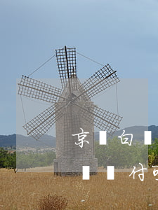 京東白條閃付可以還款京東白條嗎-京東白條閃付可以還信用卡嗎